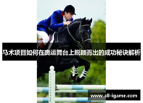 马术项目如何在奥运舞台上脱颖而出的成功秘诀解析